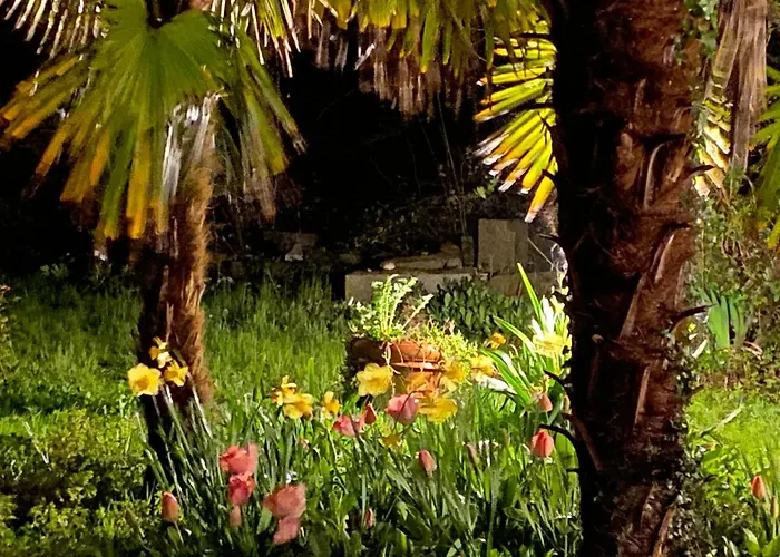 Paradis